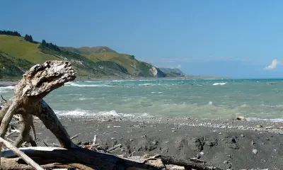Photo of Mangamaunu