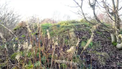 Photo of Mount Irvine
