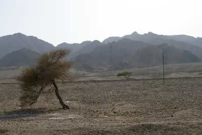 Photo of Nuweiba