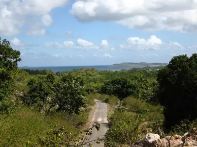 Photo of Oeseli