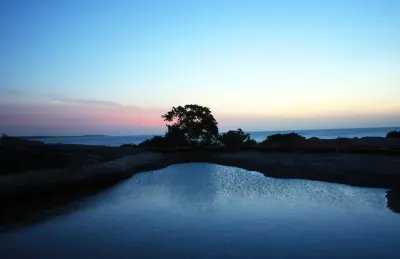 Photo of Okanda