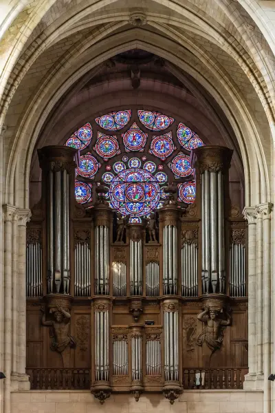 Photo of Organos