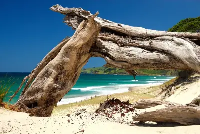 Photo of Pakiri Beach