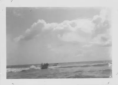 Photo of Palm Beach QLD
