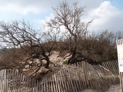 Photo of Pampelonne Ramatuelle
