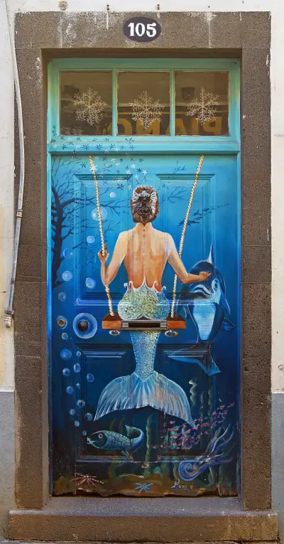 Photo of Pancer Door