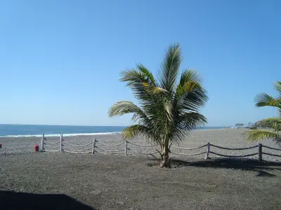 Photo of Petacalco