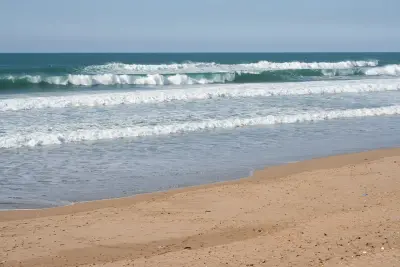 Photo de Plage des Nations