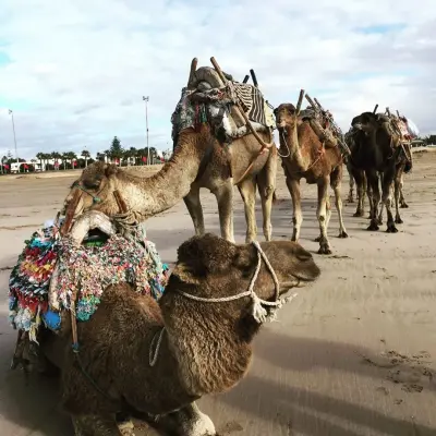 Photo of Plage d'Essaouira