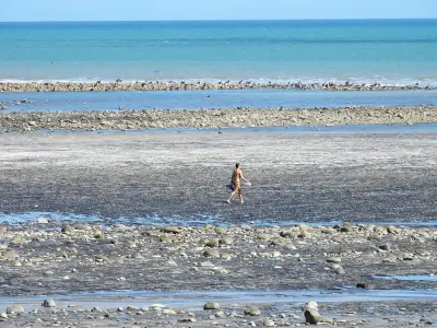 Photo of Playa El Palmar