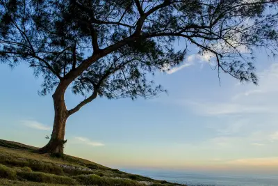 Photo of Praia da Vila (Saquarema)