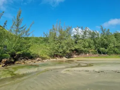 Photo of Praia de Garopaba