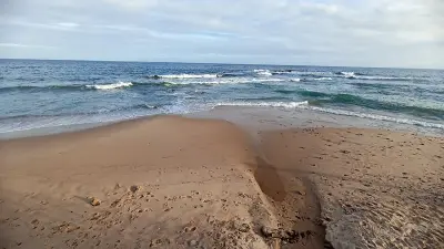 Photo of Praia de Ondina