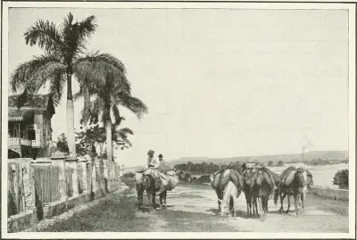 Photo of Providencia