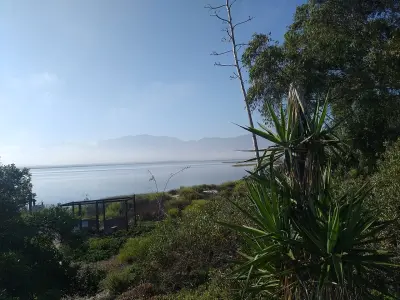 Photo of Punta Banda