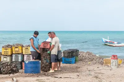 Photo de Punta Cabras