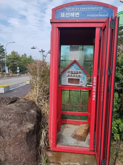 Photo of Pyoseon