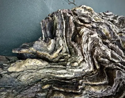 Photo of Red Bluff
