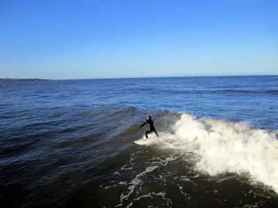 Photo of Roker