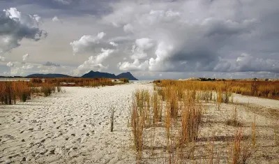 Photo of Ruakaka Beach
