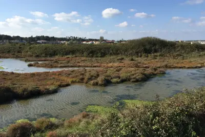 Photo of Saint-Trojan Oleron