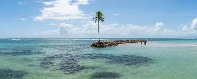 Photo of Sainte-Anne Guadeloupe