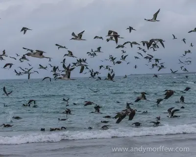 Photo of San Cristobal Galapagos