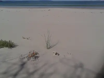 Photo of Seven Mile Beach (Hobart)