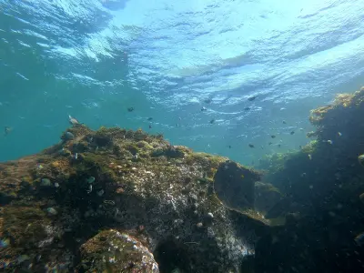 Photo of Small Reef