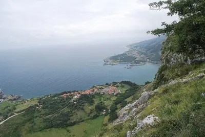 Photo of Sonabia