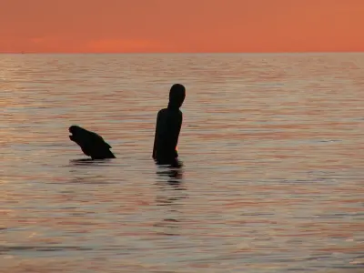 Photo of Suicides