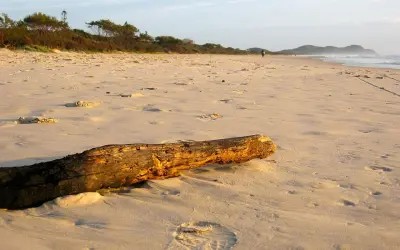 Photo of Tallow Beach