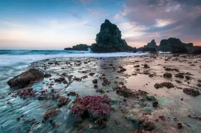 Photo of Tampah