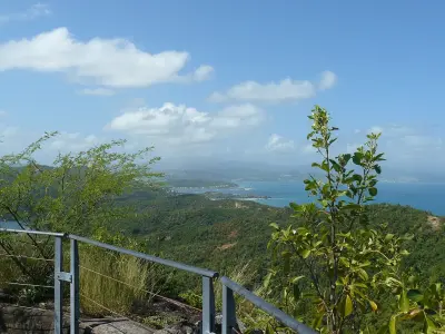 Photo of Tartane La Caravelle Martinique