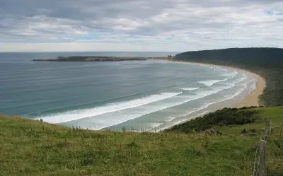 Photo of Tautuku Bay