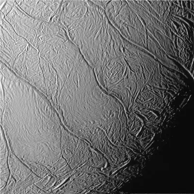Photo de Tiger Stripes