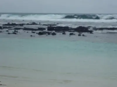 Photo of Tortuga Bay