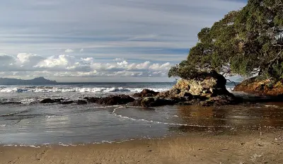 Photo of Waipu Cove