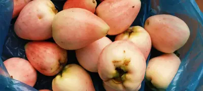Photo of Way Jambu