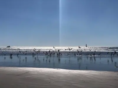 Photo of Westport