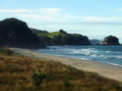 Photo of Whiritoa
