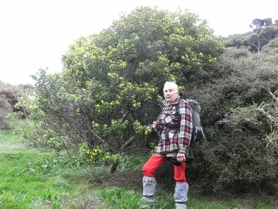 Photo of Whitireia