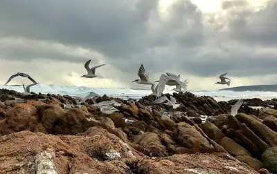 Photo of Yallingup