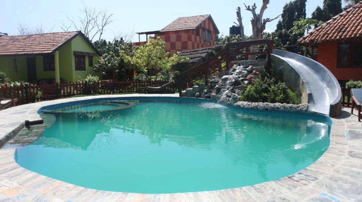 Big Milly's Backyard