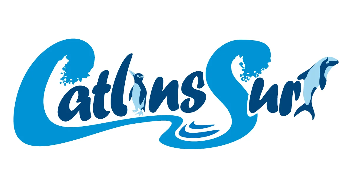 Catlins Surfing & Accommodation