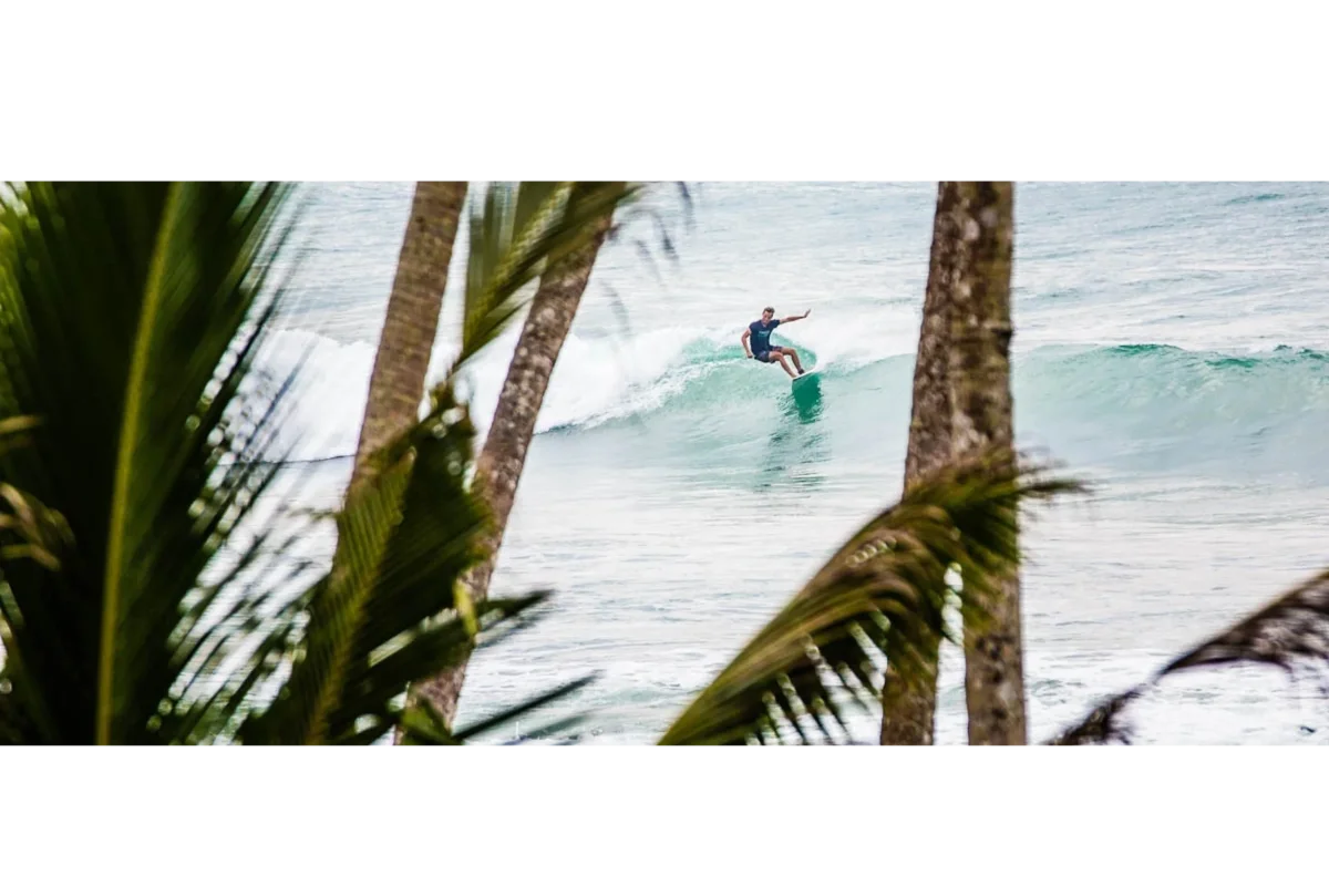 Cocoplant Surf Inn & Surf School