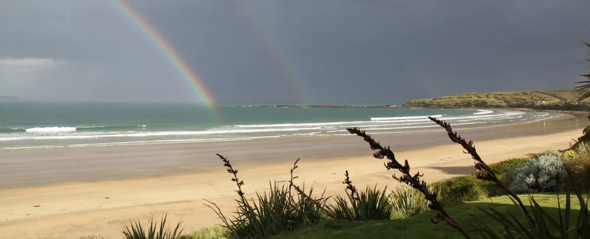 Curio Bay Accommodation
