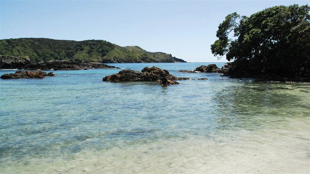Maitai Bay Campsite (DOC)