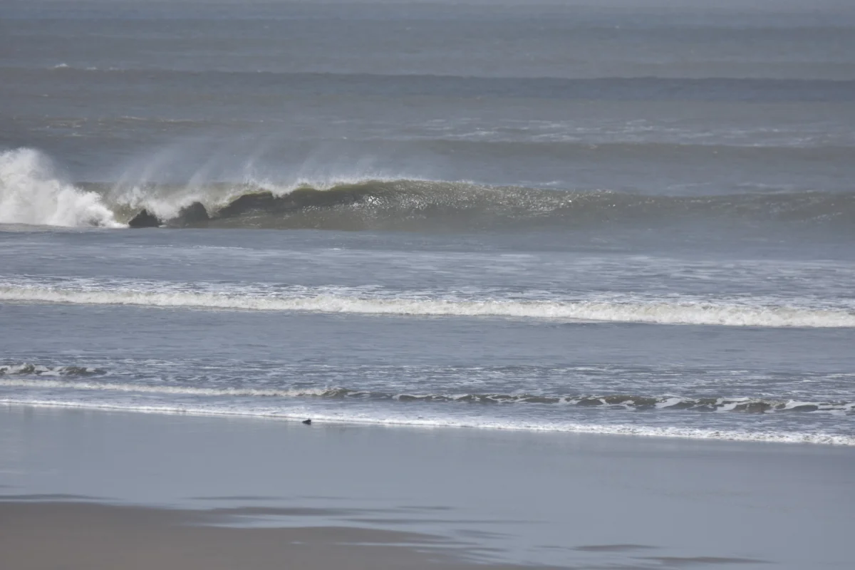 My Surf Camp Peru