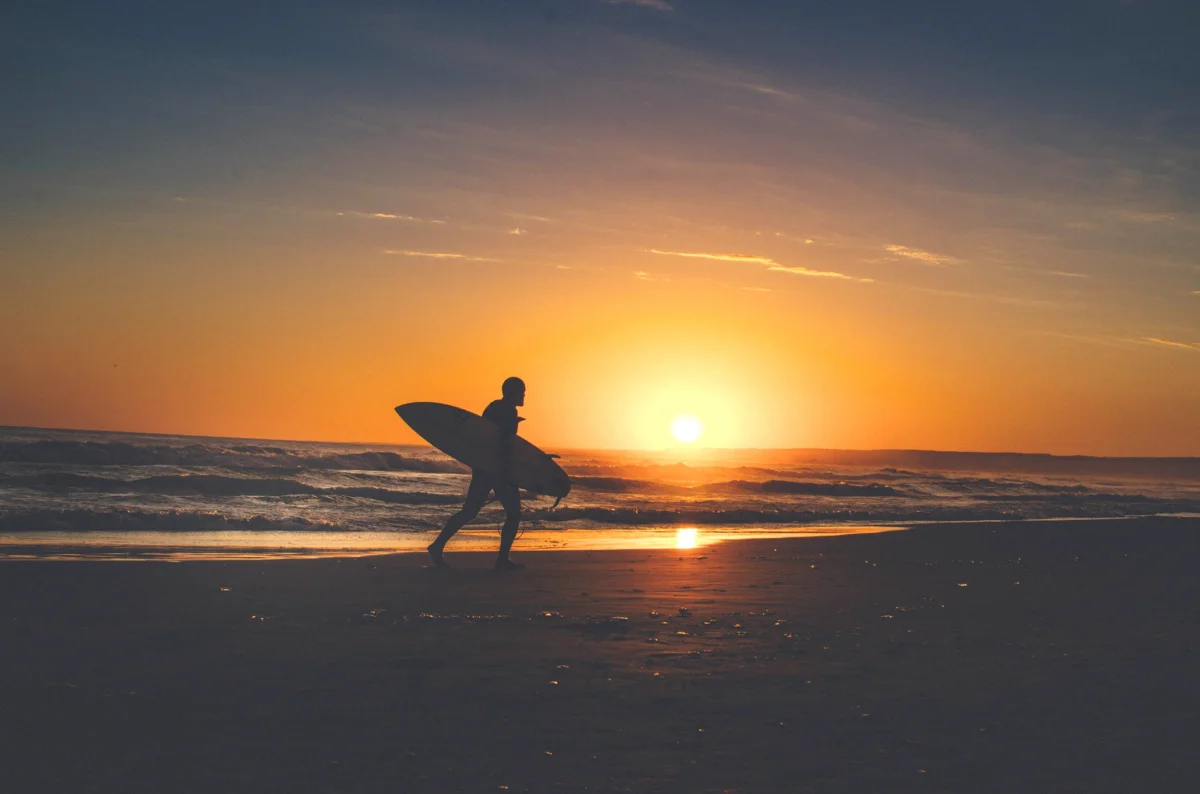 Newtours Palomino Surf Camp